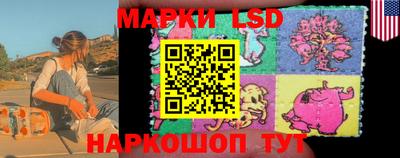 шишки Кингисепп