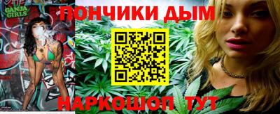 шишки Кингисепп
