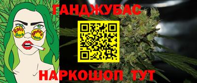шишки Кингисепп