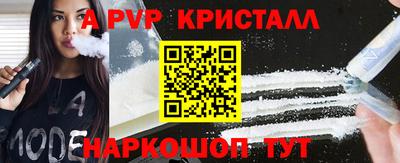 шишки Кингисепп